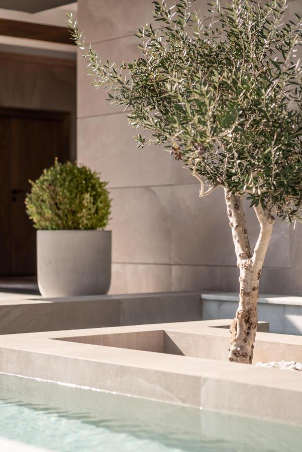 Theartemis Palace Hotel Retimno